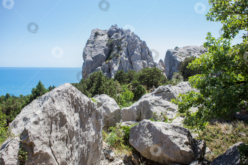 Скачать Поросшие лесом скалы на берегу моря фотосток Ozero