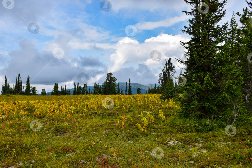 Скачать Горный пейзаж фотосток Ozero