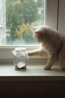 [object Object] undefined