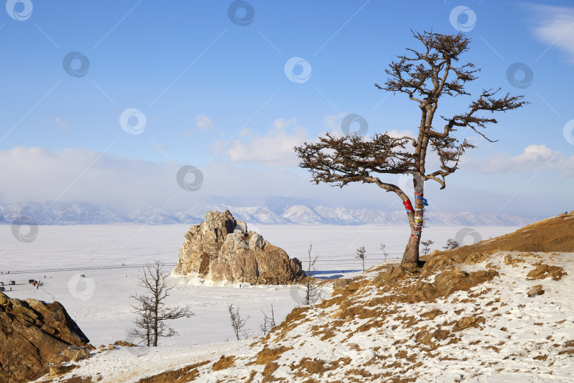 Скачать Остров Ольхон, озеро Байкал зимой. Вид на знаменитый мыс Бурхан фотосток Ozero