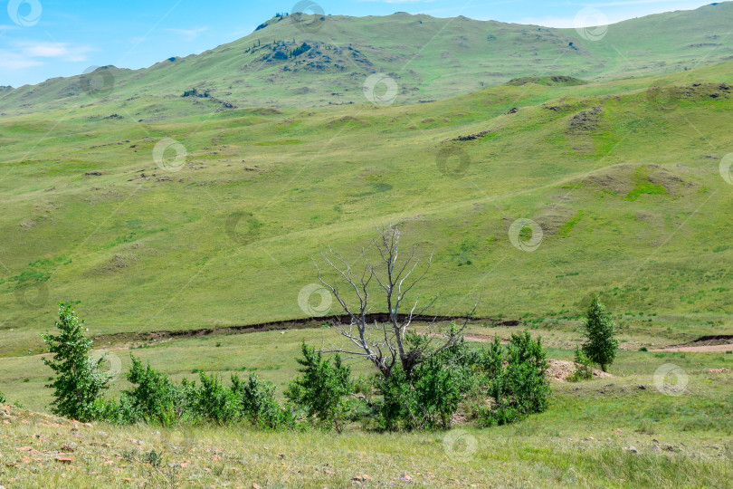 Скачать Старые горы фотосток Ozero