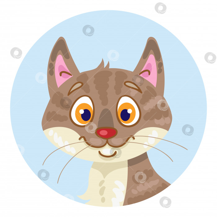 Скачать Значок аватарки с изображением милой коричневой кошки фотосток Ozero