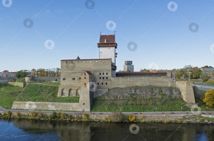 Скачать Замок Германа на берегу моря фотосток Ozero