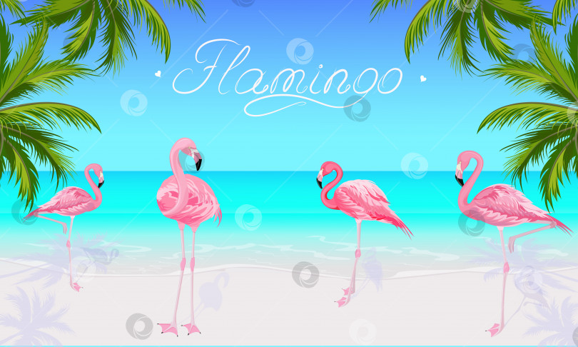 Скачать Тропический берег моря с розовым фламинго фотосток Ozero