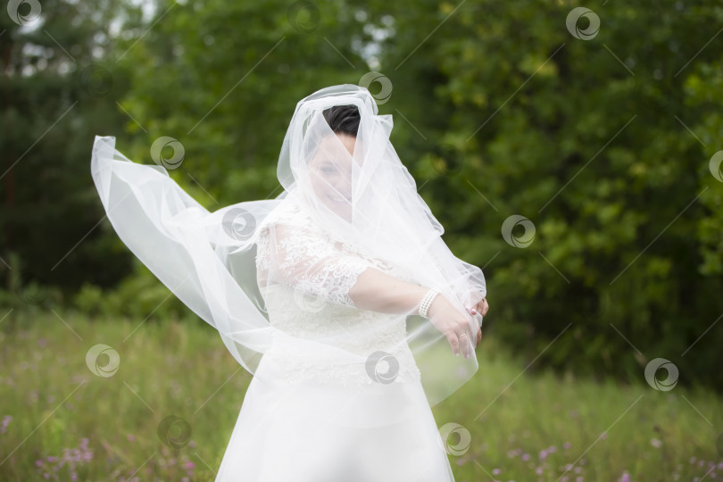 Скачать Толстая невеста спряталась в свадебной фате на фоне природы. фотосток Ozero
