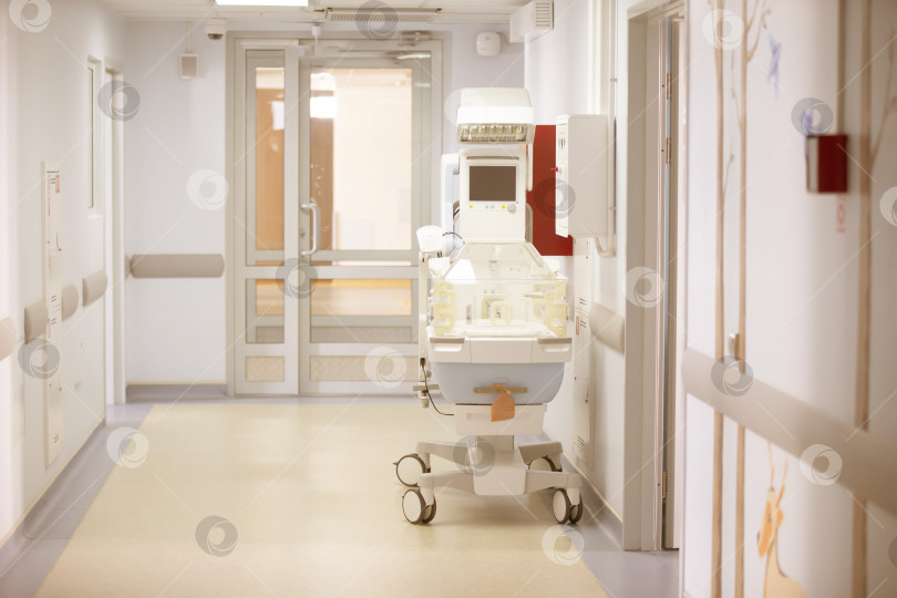 Скачать Пустой коридор больничной палаты для лечения новорожденных. фотосток Ozero
