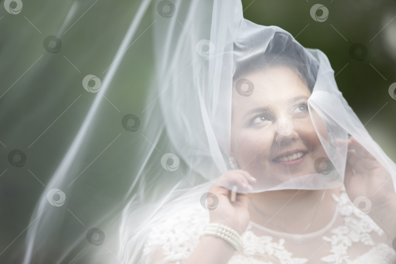 Скачать Толстая невеста спряталась в свадебной фате на фоне природы. фотосток Ozero