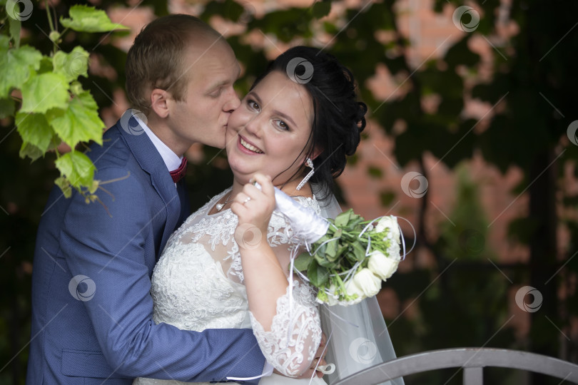 Скачать Жених целует счастливую толстую невесту. фотосток Ozero