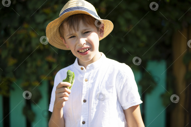 Скачать Мальчик в соломенной шляпе ест огурец. Деревенский ребенок. фотосток Ozero