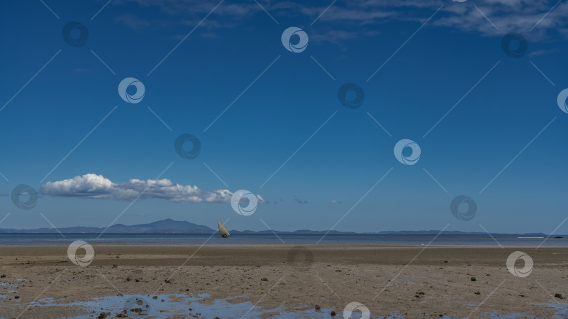 Скачать Отлив в океане. На песчаном берегу есть лужицы воды. фотосток Ozero