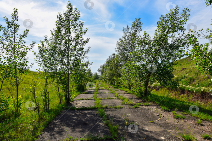 Скачать Старая  дорога фотосток Ozero