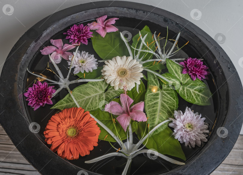 Скачать Яркие тропические цветы плавают в воде в керамической миске. фотосток Ozero