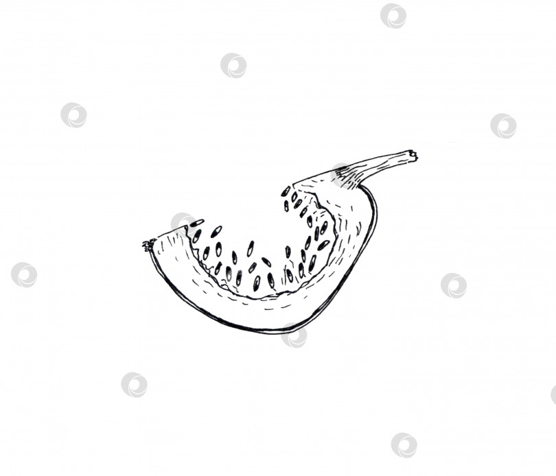 Скачать Значок каракули с контуром ломтика тыквы. Простое монохромное изображение. фотосток Ozero