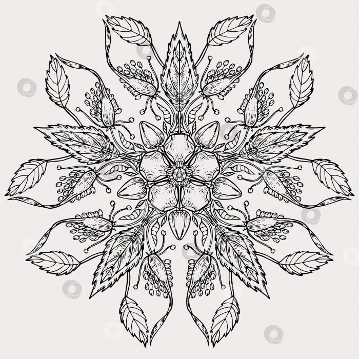 Скачать Круговой весенне-летний орнамент из каракулей. Нарисованная от руки мандала с черно-белым контуром цветов и листьев. фотосток Ozero