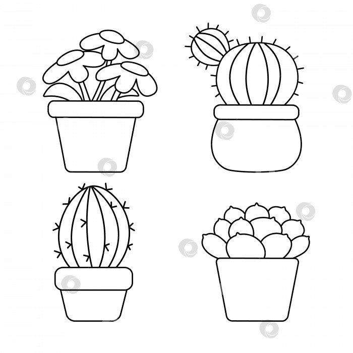 Скачать Набор каракулевых растений в горшках. Векторные каракули из ромашки, кактуса и суккулента фотосток Ozero