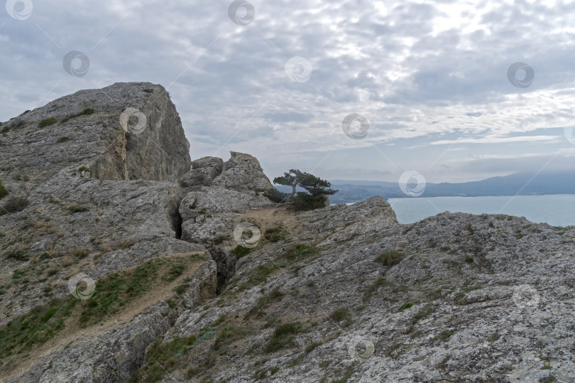 Скачать Трещина в скале. фотосток Ozero