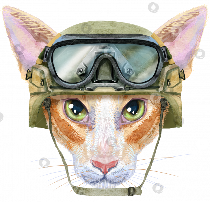 Скачать Прекрасный портрет восточной кошки крупным планом в военно-тактическом шлеме с защитными очками. Рисованная акварель от руки фотосток Ozero