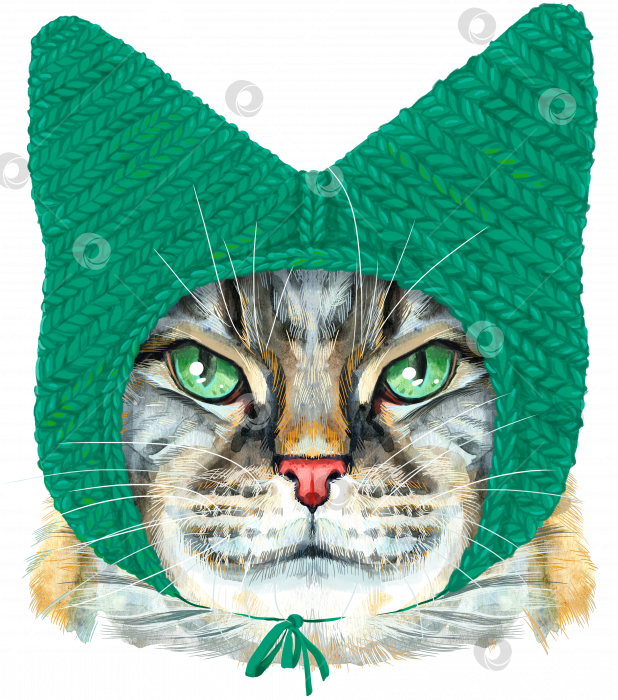 Скачать Прекрасный портрет кошки мейн-кун крупным планом в забавной зеленой вязаной шапочке. Рисованная акварель от руки фотосток Ozero