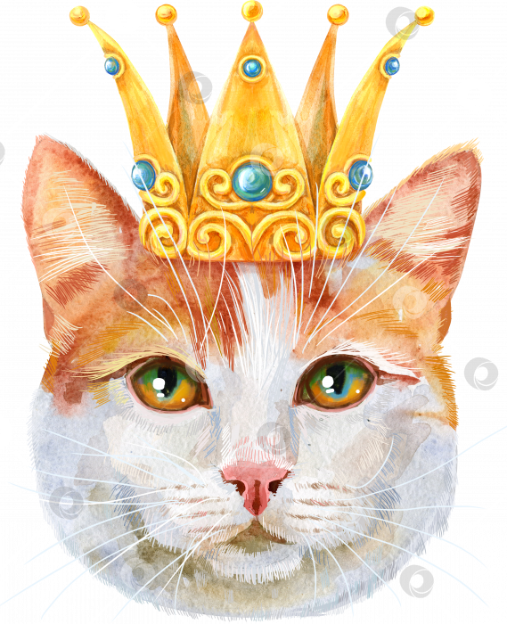 Скачать Прекрасный портрет крупным планом в пастельных тонах турецкой кошки ван в золотой короне. Рисованная акварель от руки фотосток Ozero