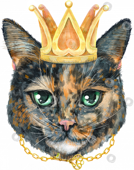 Скачать Прекрасный портрет крупным планом короткошерстной черепаховой кошки в золотой короне. Рисованная акварель от руки фотосток Ozero