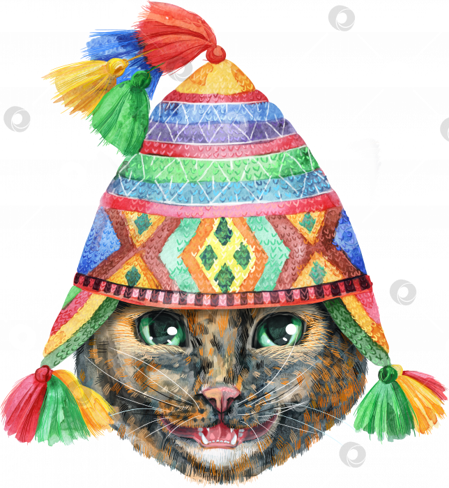 Скачать Прекрасный портрет крупным планом в пастельных тонах короткошерстной черепаховой кошки в перуанской национальной шляпе Чуло. Рисованная акварель от руки фотосток Ozero