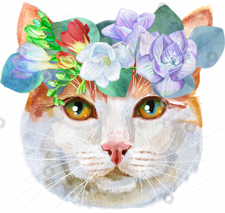 Скачать Прекрасный портрет турецкой кошки ван крупным планом в венке из цветов. Рисованная акварель от руки фотосток Ozero