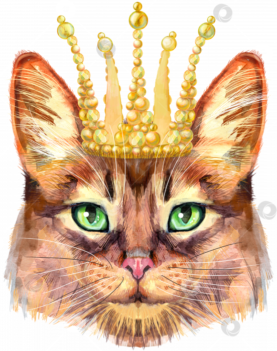 Скачать Прекрасный портрет сомалийского кота в золотой короне крупным планом в пастельных тонах. Рисованная акварель от руки фотосток Ozero