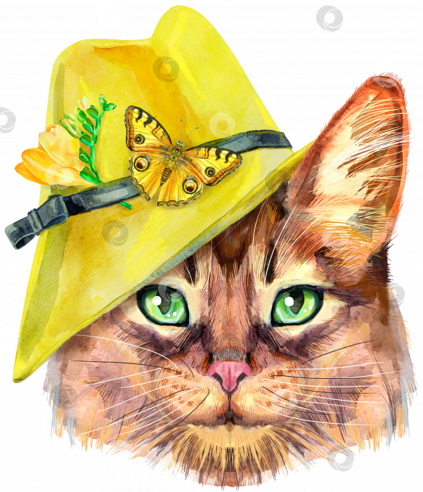 Скачать Прекрасный портрет сомалийского кота крупным планом в желтой шляпе с цветами и бабочкой. Рисованная акварель от руки фотосток Ozero
