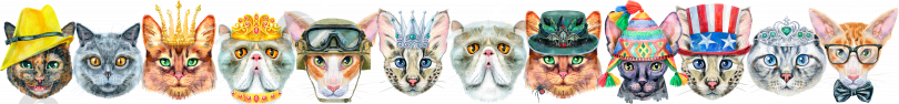 Скачать Рамка из портретов кошек разных пород с аксессуарами. Акварельная иллюстрация, нарисованная от руки фотосток Ozero