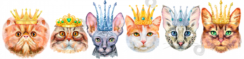 Скачать Рамка из портретов кошек разных пород в коронах. Акварельная иллюстрация, нарисованная от руки фотосток Ozero