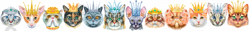 Скачать Бордюр из портретов кошек разных пород в коронах. Акварельная иллюстрация, нарисованная от руки фотосток Ozero