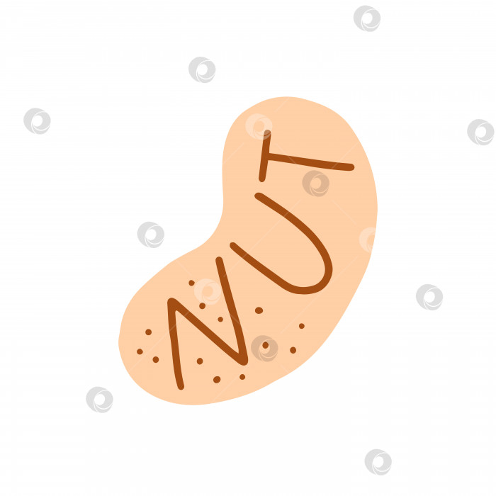 Скачать Знак ореха.Икона концепции здорового питания. Плоская мультяшная векторная иллюстрация, нарисованная от руки. фотосток Ozero