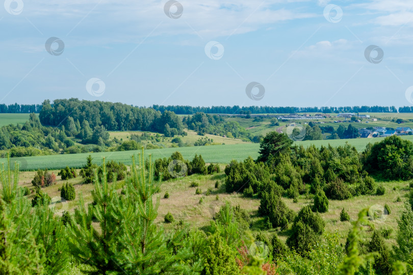 Скачать Сельский пейзаж Татарстана. Зеленые холмы с деревьями и лугами, вид сверху фотосток Ozero