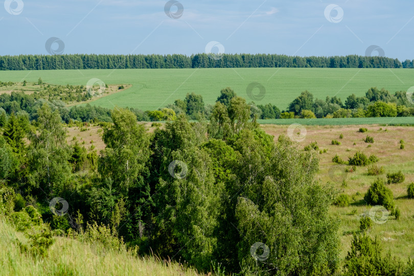 Скачать Сельский пейзаж Татарстана. Зеленые холмы с деревьями и лугами, вид сверху фотосток Ozero