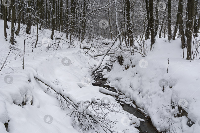 Скачать Ручей в зимнем лесу. фотосток Ozero