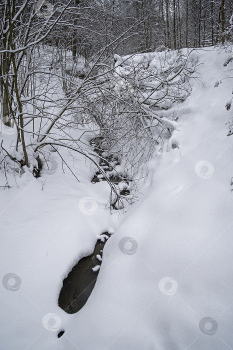 Скачать Ручей в зимнем лесу. фотосток Ozero