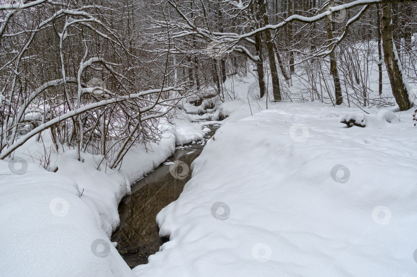 Скачать Ручей в зимнем лесу. фотосток Ozero