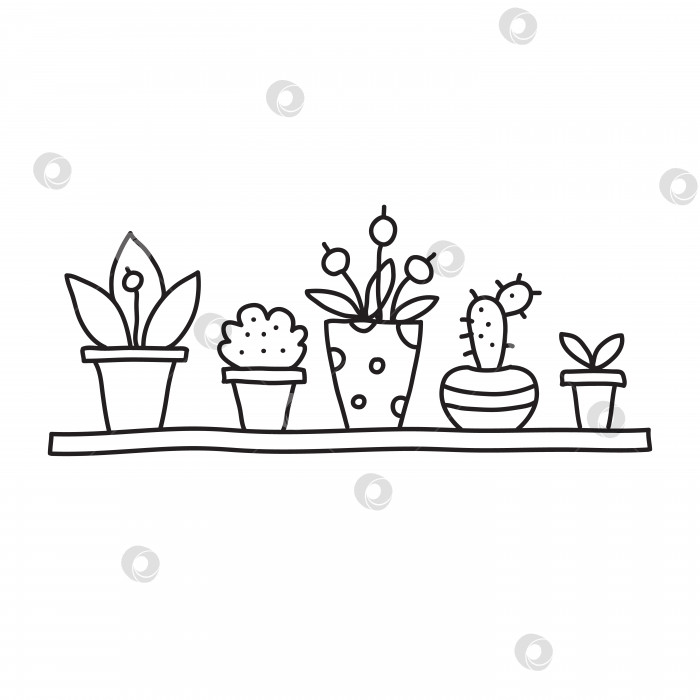 Скачать Векторная стоковая иллюстрация с одним объектом: , домашнее растение, нарисованное от руки, в стиле каракули. фотосток Ozero