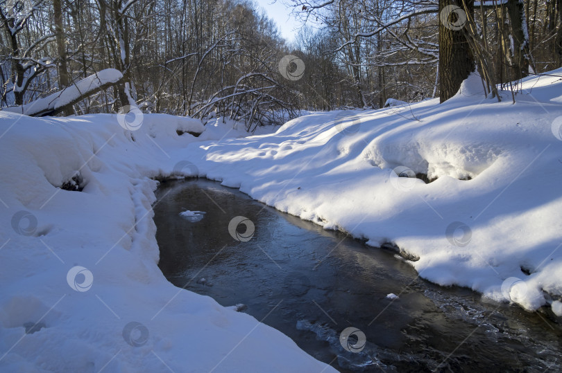 Скачать Ручей в зимнем лесу. фотосток Ozero