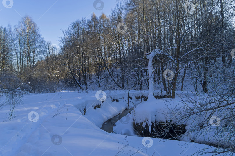 Скачать Ручей в зимнем лесу. фотосток Ozero