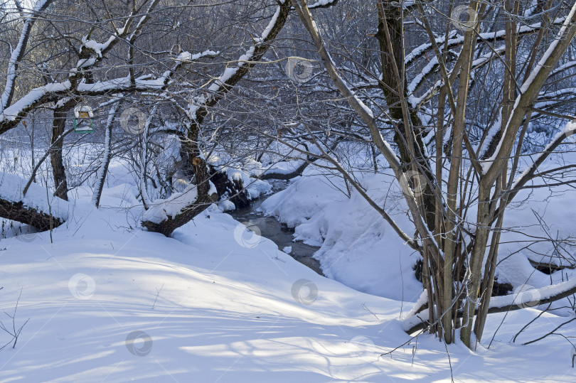 Скачать Ручей в зимнем лесу. фотосток Ozero