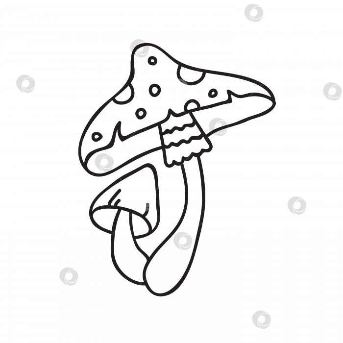 Скачать Векторная стоковая иллюстрация с одним объектом: растение, нарисованное от руки, в стиле каракули. фотосток Ozero