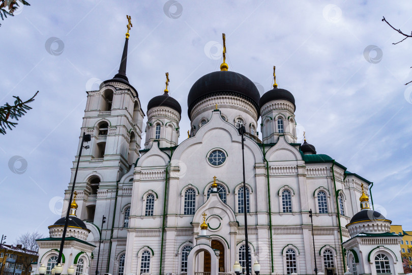 Скачать Благовещенский кафедральный собор. Воронеж фотосток Ozero