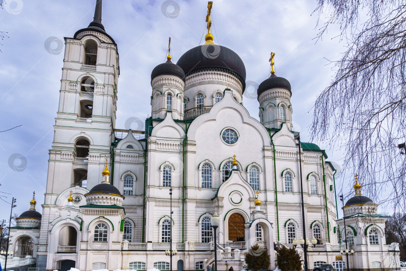 Скачать Благовещенский кафедральный собор. Воронеж фотосток Ozero