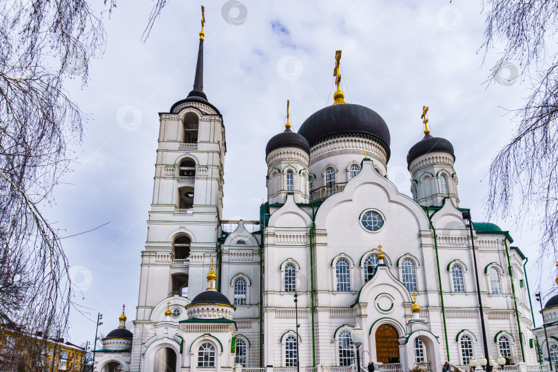 Скачать Благовещенский кафедральный собор. Воронеж фотосток Ozero