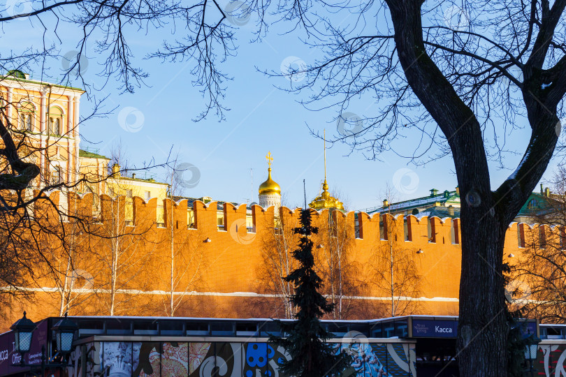 Скачать Кремлевская стена. Церковь похвалы Богородицы. Москва фотосток Ozero
