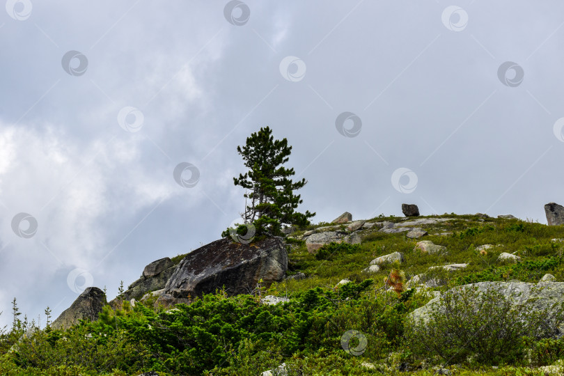 Скачать Горный пейзаж фотосток Ozero