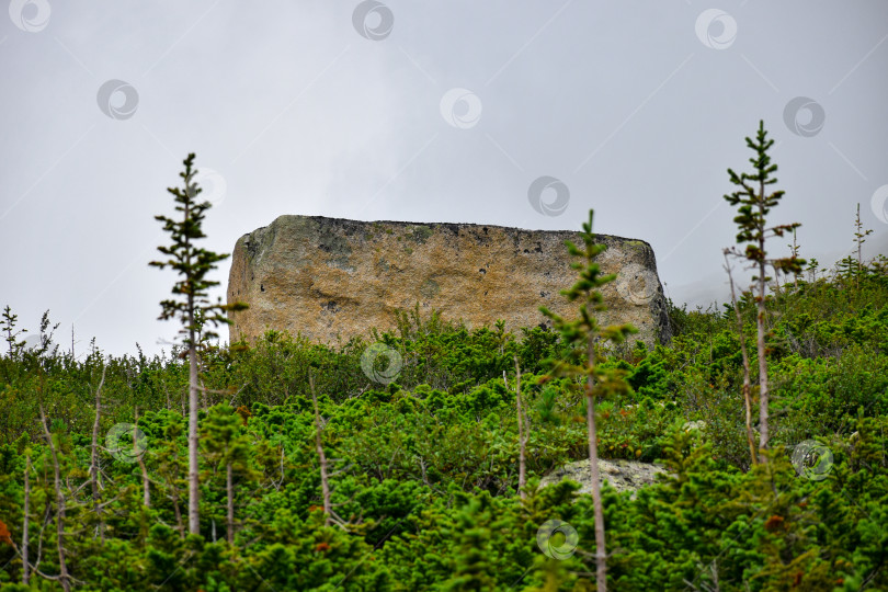 Скачать Горный пейзаж фотосток Ozero