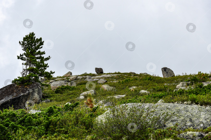 Скачать Горный пейзаж фотосток Ozero