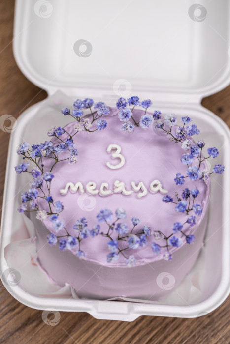 Скачать Три месяца (надпись на русском языке) - домашний пирог бенто в пластиковой коробке на столе фотосток Ozero